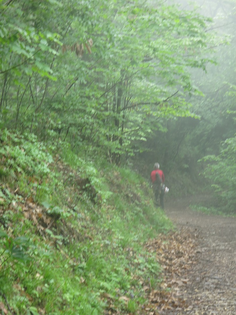 IMG_7068.JPG - Nebbia e umidità ma per lo meno non piove. La parete però è perfettamente asciutta nonostante l'abbondante pioggia di ieri