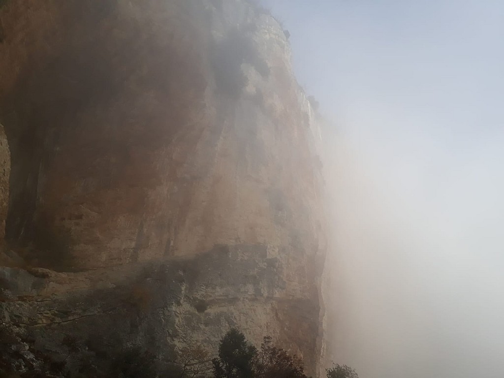 WA4.jpg - La nebbia non ci abbandona !