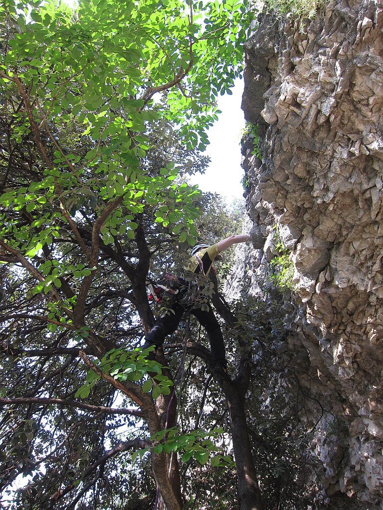 IMG_4067.JPG - La partenza del primo tiro. Roccia non molto invitante ma ci si aiuta con l'albero.