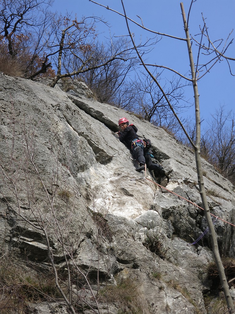 IMG_8224.JPG - Gran bel tiro in fessura 