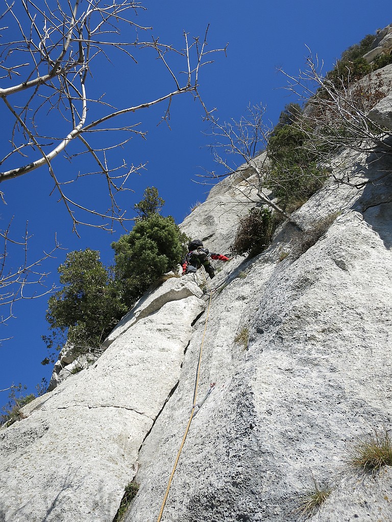 IMG_6513.JPG - Bel tiro in fessura 