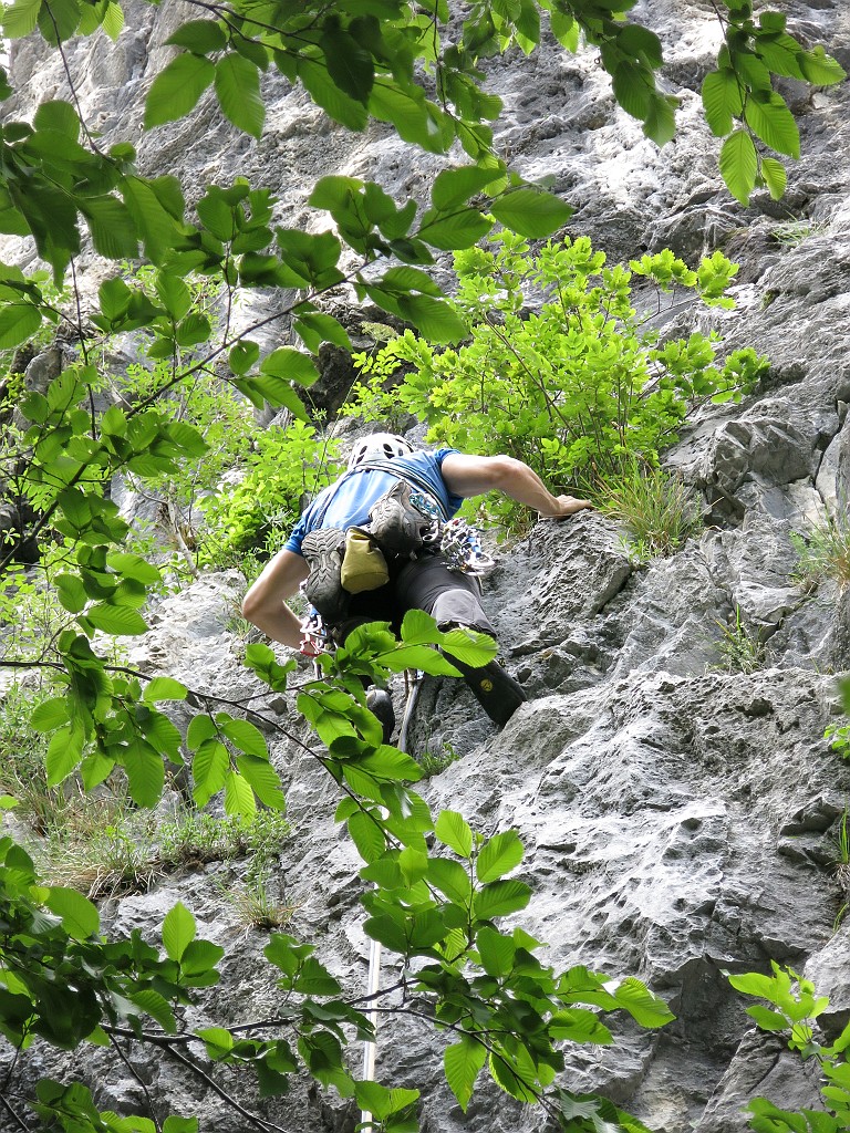 IMG_0491.JPG - Attacco un po' ingombro di vegetazione