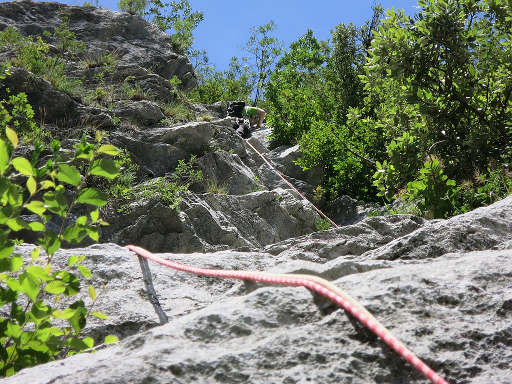 IMG_4990.JPG - A tratti belli seguono tratti su roccette nel bosco