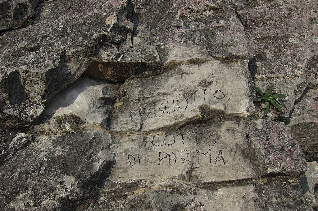 IMG_0809.JPG - Ultima nata sulla parete di Castelpresina. Per l'attacco dal sentiero di discesa traversare lungamente a destra verso lo spigolo. L'attacco è appena a destra degli spit rossi di Ciao Sic. Difficoltà dei tiri 6a+, 5c, 6a, 6b+, 5c. Spittatura con placchette artigianali. Soste con catena e maglia rapida molto piccola. Roccia buona anche se c'è da prestare attenzione ad alcune grosse scaglie. Qualche presa scavata.