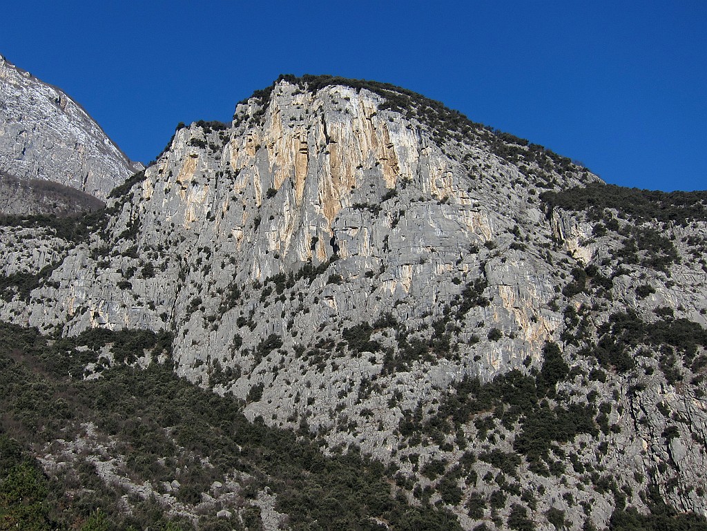 IMG_1044.JPG - La bella parete del Dain di Pietramurata. La nostra via è sulla sinistra, praticamente sul lato destro del grande diedro