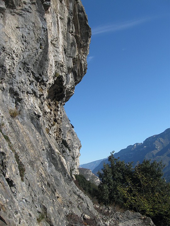 IMG_2594.JPG - La cengetta d'attacco