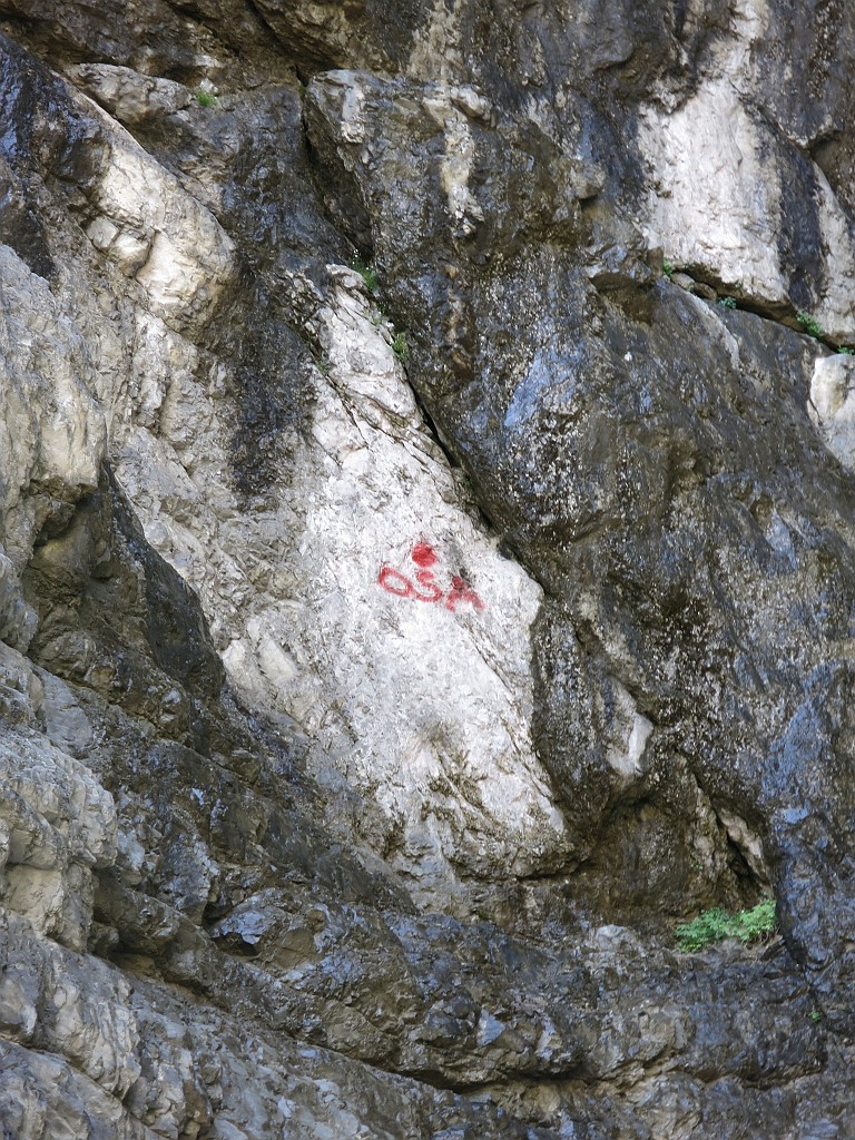 IMG_0659.JPG - L'attacco della OSA di cui si percorre il primo tiro