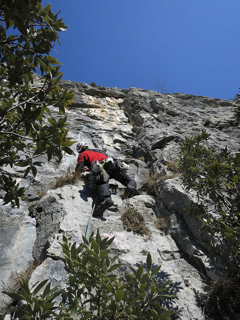 IMG_6624.JPG - Walter in azione